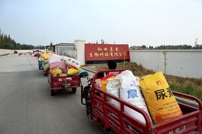 新疆晨光生物:科技創新實現農產品全產業鏈價值